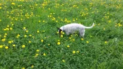 20190425_141835.webp