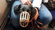 20190426_174740.webp
