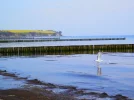 P4271102.webp