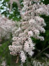 20190427_152110.webp