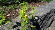 20190419_114930.webp
