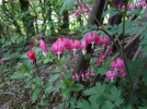 DSC01141.webp