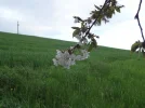 DSC01131.webp