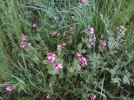 DSC01128.webp
