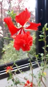 20190428_165146.webp
