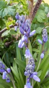 20190428_145716.webp
