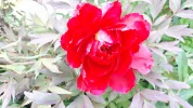 20190428_145322.webp