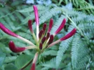 DSCN9741.webp