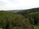 20190501_121851  1.webp