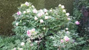 20190501_081541-3456x1944.webp