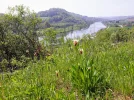 20190430_Mosel.webp
