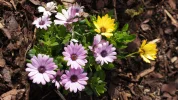 DSC04419.webp