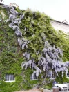 20190501_131106  1.webp
