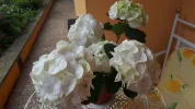 20190504_092025.webp