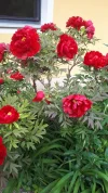 20190504_091946.webp