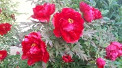 20190504_091934.webp