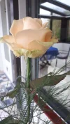 20190504_091553.webp