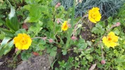 20190504_102606.webp