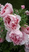 20190504_102432.webp