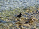 DSC00091.webp