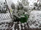 DSC00140.webp