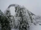 DSC00139.webp