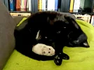 20190505_162931.webp