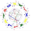 Ali Timeline.webp