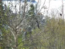 DSC00153.webp