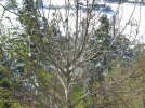 DSC00154.webp