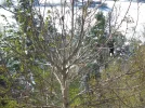 DSC00155.webp