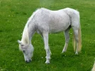 P1060822_4c.webp