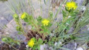 20190506_161255.webp