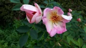 20190506_161212.webp