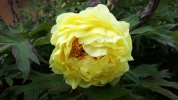 20190506_160918.webp