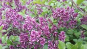 20190506_160814.webp