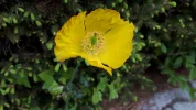 20190506_160636.webp