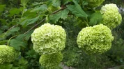 20190506_160241.webp