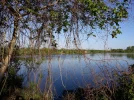 20190502_174243.webp