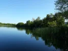 20190502_174826.webp