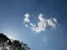 20190502_172757.webp