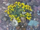 20190510_163154.webp
