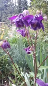 20190511_171102.webp