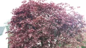 20190511_170258.webp