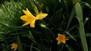 20190511_102259.webp