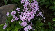 20190511_102431.webp