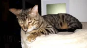 20190512_075828.webp