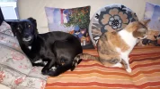 20190512_075804.webp