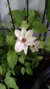 20190512_105600.webp
