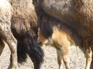 Pflege 1.webp